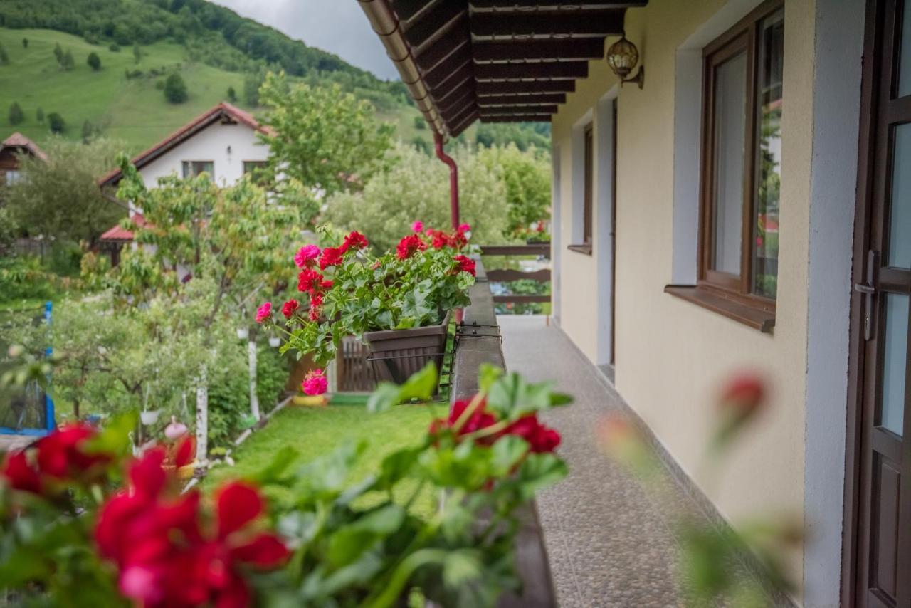Vila Chic M Otel Moieciu de Jos Dış mekan fotoğraf