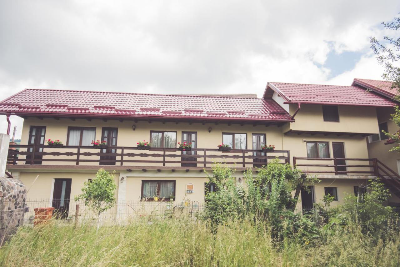 Vila Chic M Otel Moieciu de Jos Dış mekan fotoğraf