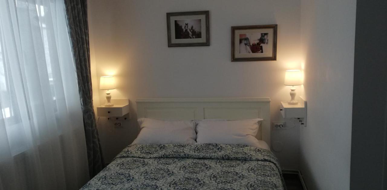 Vila Chic M Otel Moieciu de Jos Dış mekan fotoğraf